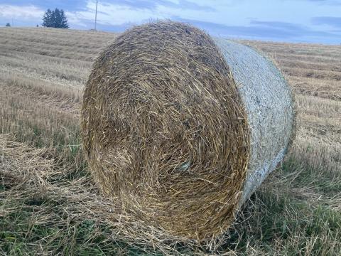 Szalma bála Szalma bála