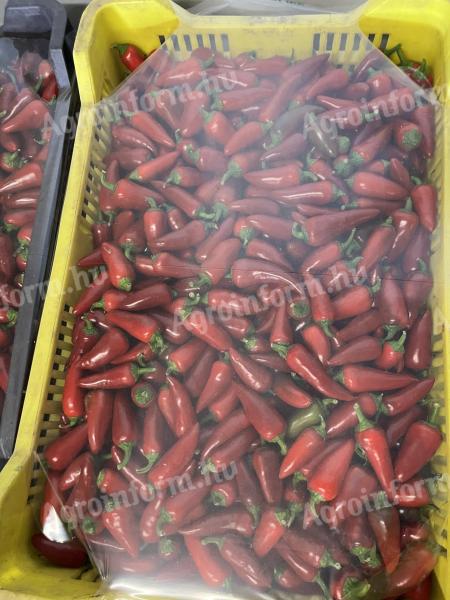 Chili paprika