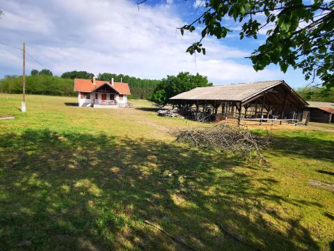 Pest megyében, Örkényen Budapesttől mindössze 35 km-re eladó tanya Pest megyében, Örkényen Budapesttől mindössze 35 km-re eladó tanya