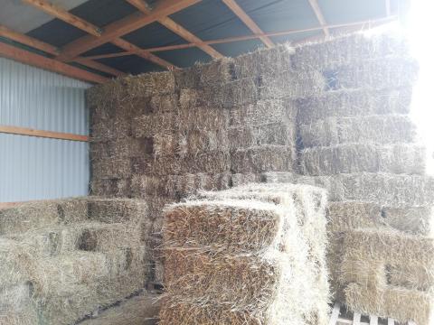 Kiskocka szalmabála eladó Kiskocka szalmabála eladó