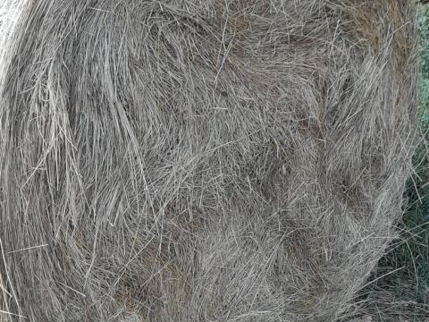 Nagybálás rétiszéna Nagybálás rétiszéna