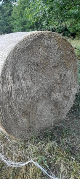 Nagybálás rétiszéna