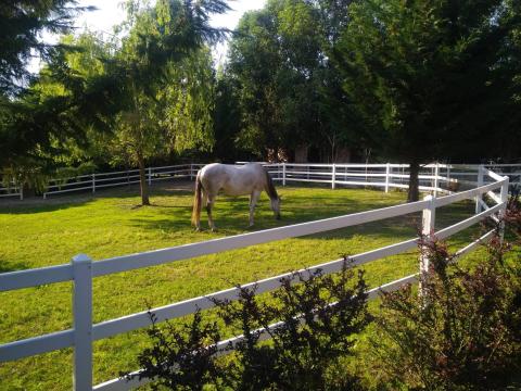 Műanyag karám elemek közvetlenül a gyártótól eladók Műanyag karám elemek közvetlenül a gyártótól eladók