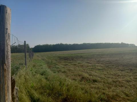 Szántó terület eladása Szántó terület eladása