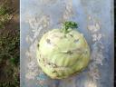 Autumn King és Green lunar lapos káposzta,  Kossak karalábé eladó