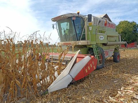 Oros 6R+HSA előlzúzós kukoricaadapter eladó Oros 6R+HSA előlzúzós kukoricaadapter eladó
