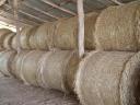 Eladó 130-as búzaszalma bálák
