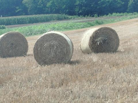 150-es szalmakorong bála 150-es szalmakorong bála