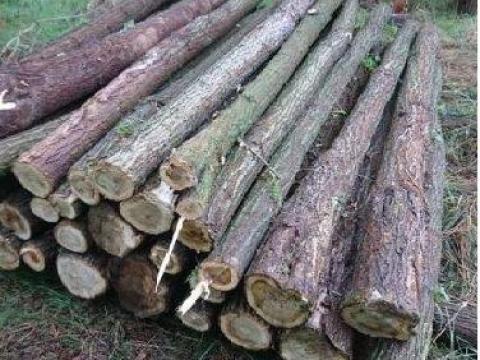 Akácoszlop, oszlop, karó, kerítés, akác Akácoszlop, oszlop, karó, kerítés, akác