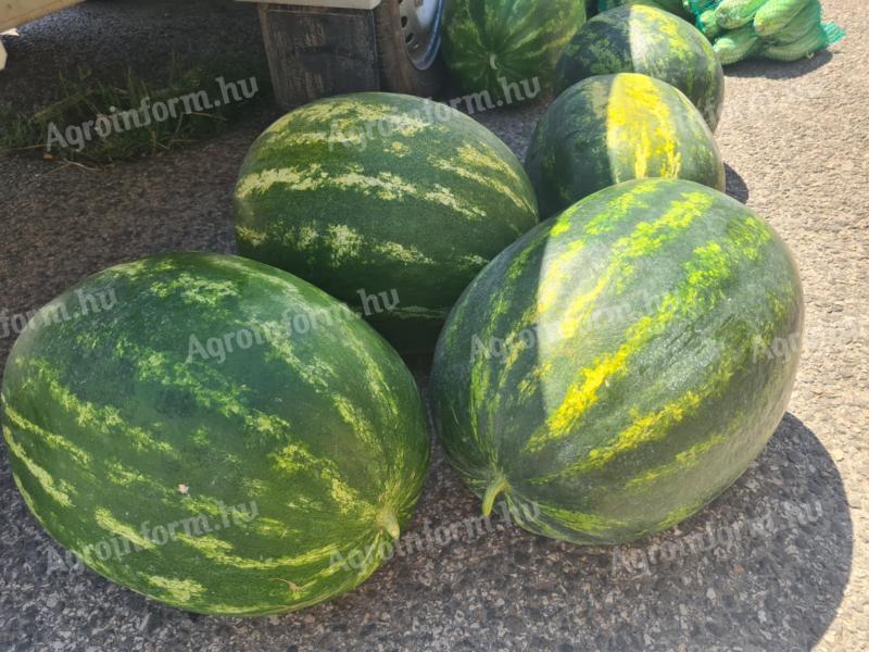 Görögdinnye eladó