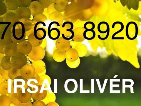 Irsai Olivér Irsai Olivér