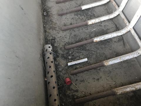 Sertésforrázó-kopasztógép eladó Sertésforrázó-kopasztógép eladó