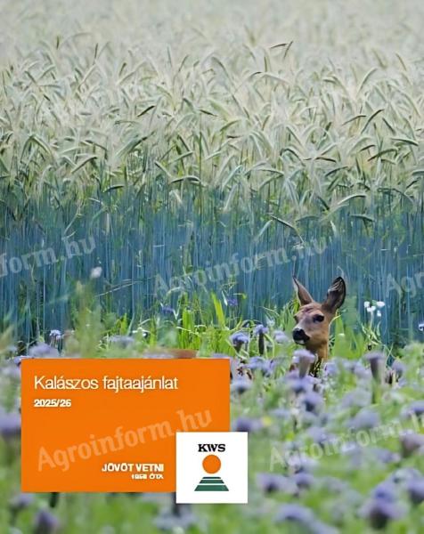 KWS Kalászosok! Őszi búza Őszi Árpa Hibrid Rozs