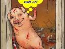 Selejt koca eladó