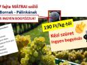 7 fajta szőlő - ingyen bogyózás – bornak,  pálinkának - Zenit - Rizlingszilváni - Sauvignon blanc - Szürkebarát - Zweigelt - Kékfrankos - Olaszrizling