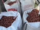 Burgonya Big Bag zsákban eladó Mórahalmon