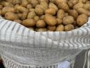 Burgonya sárga eladó Mórahalmon Big Bag zsákban