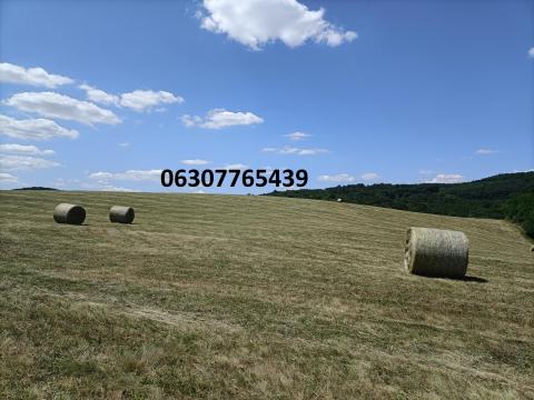 Prémium minőségű réti széna eladó Prémium minőségű réti széna eladó