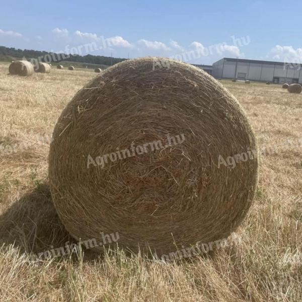 Lucernabála