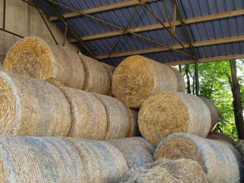 Búza Szalma Búza Szalma