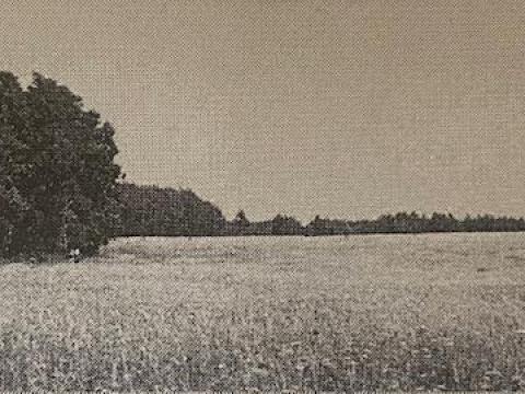 Eladó 6 darab közművesített telek 35 euró/m2 = 210.000 euró/telek áron Eladó 6 darab közművesített telek 35 euró/m2 = 210.000 euró/telek áron