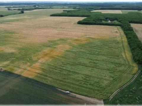 Szántóföldek eladók Veszprém vármegyében, Pápa térségében – összesen 67,22 hektár