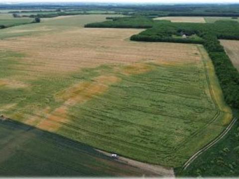 Szántóföldek eladók Veszprém vármegyében, Pápa vonzáskörzetében – összesen 67,22 hektár Szántóföldek eladók Veszprém vármegyében, Pápa vonzáskörzetében – összesen 67,22 hektár
