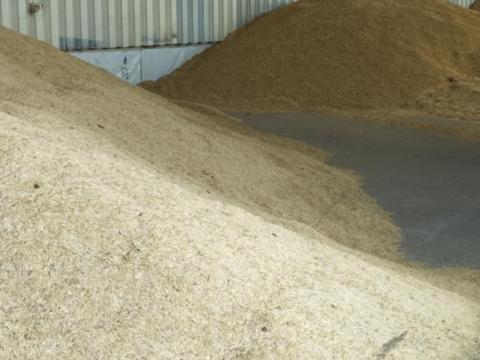 Őszi és tavaszi zab eladó Őszi és tavaszi zab eladó