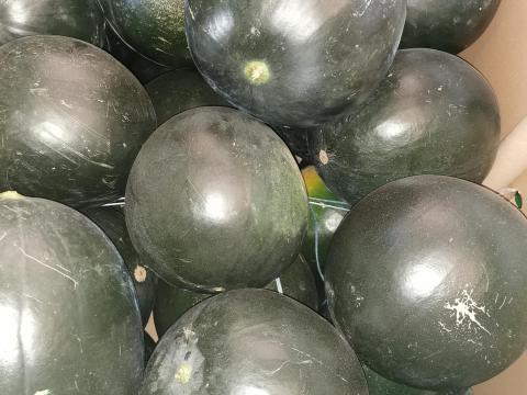 Medgyesi dinnye eladó Medgyesi dinnye eladó