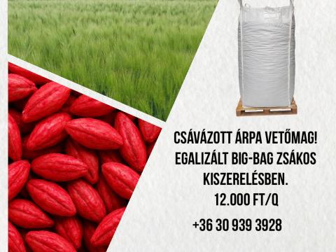 Csávázott árpa vetőmag Csávázott árpa vetőmag