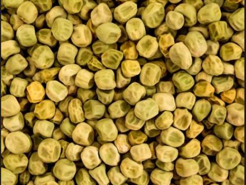 Borsó takarmány Borsó takarmány