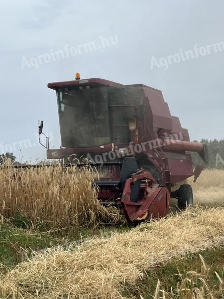 Case IH 521 gabonakombájn