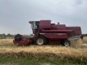 Case IH 521 gabonakombájn