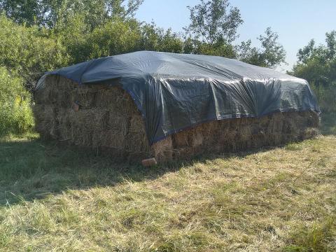 Réti széna kisbála - idei kaszálás Réti széna kisbála - idei kaszálás