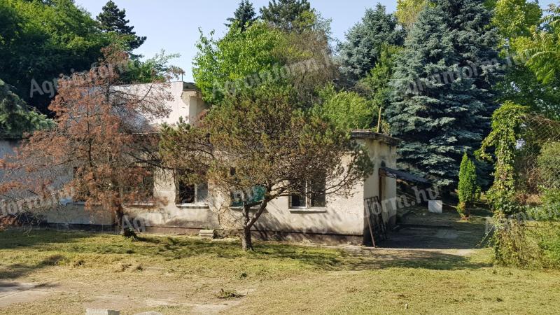20% beépíthetőség,  8500 m2 belterületi telek/üdülő/ingatlan