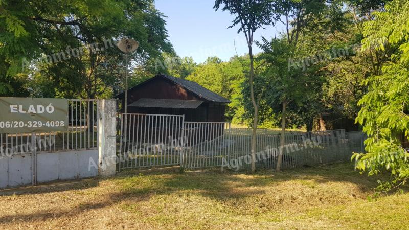 20% beépíthetőség,  8500 m2 belterületi telek/üdülő/ingatlan
