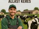 Szarvasmarhatelep keres állatgondozót