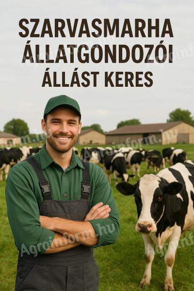 Szarvasmarhatelep keres állatgondozót