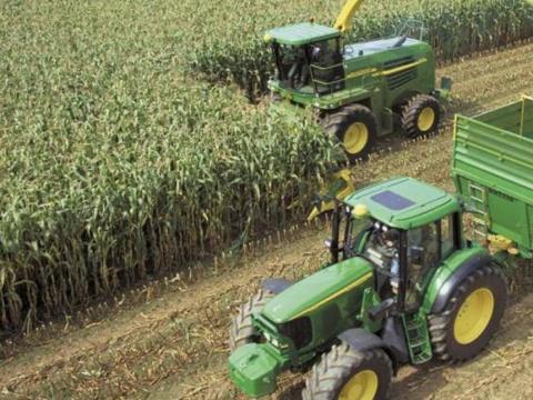 Rossz termésű (10-20q) kukoricát felvásárolok silózás céljára Rossz termésű (10-20q) kukoricát felvásárolok silózás céljára