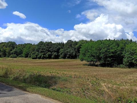 Eladó 1,2826 ha mezőgazdasági terület az osztrák határ mellett Eladó 1,2826 ha mezőgazdasági terület az osztrák határ mellett