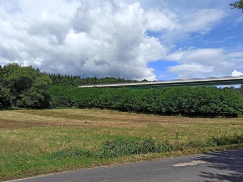 Eladó 1,2826 ha mezőgazdasági terület az osztrák határ mentén Eladó 1,2826 ha mezőgazdasági terület az osztrák határ mentén