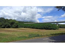 Eladó 1,2826 ha mezőgazdasági terület az osztrák határ mentén