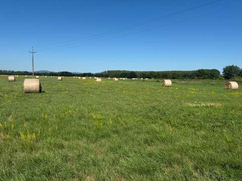 Réti széna eladó Réti széna eladó