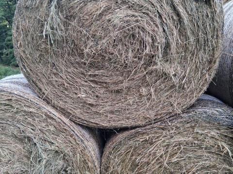 Széna bála eladó Széna bála eladó