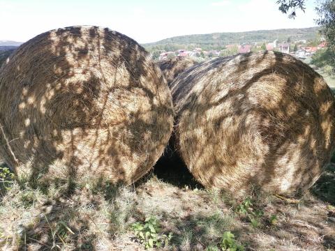 Réti Széna Réti Széna