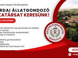 Lovardai állatgondozó álláslehetőség