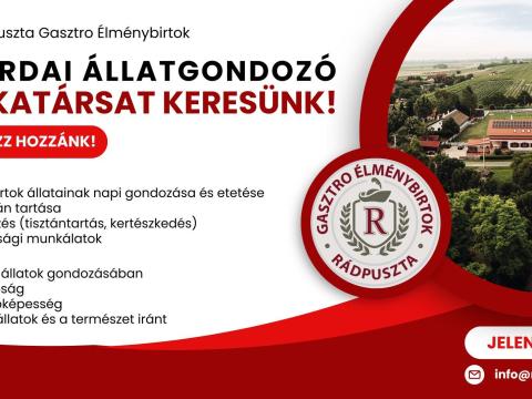 Lovardai állatgondozó álláslehetőség Lovardai állatgondozó álláslehetőség