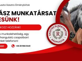 Lovász munkatársat keresünk azonnali kezdéssel