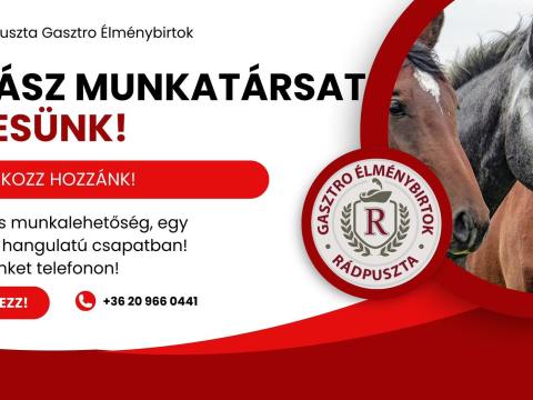 Lovász munkatársat keresünk azonnali kezdéssel