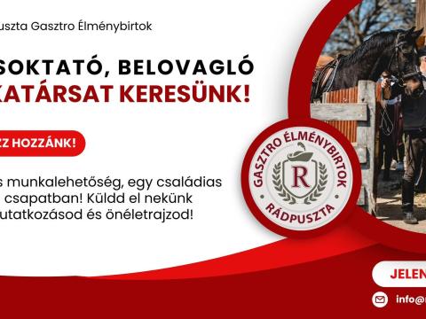 Lovasoktató,  belovagló munkatársat keresünk Lovasoktató,  belovagló munkatársat keresünk